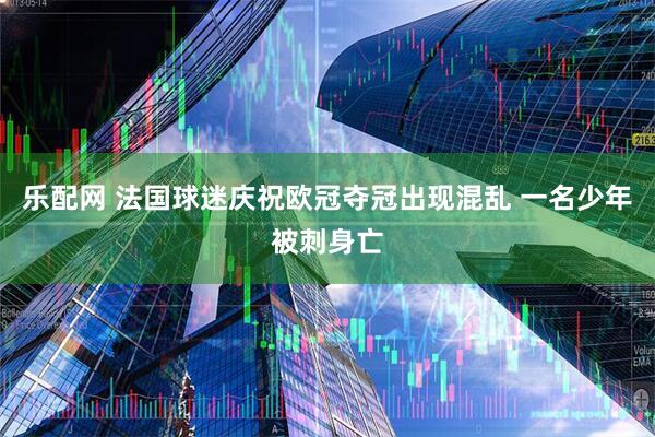 乐配网 法国球迷庆祝欧冠夺冠出现混乱 一名少年被刺身亡
