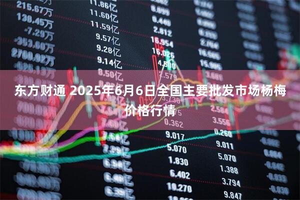 东方财通 2025年6月6日全国主要批发市场杨梅价格行情