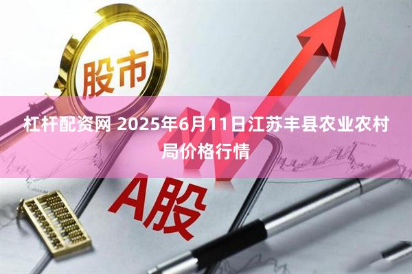 杠杆配资网 2025年6月11日江苏丰县农业农村局价格行情